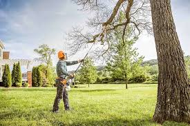 Pierce, NE Tree Services Company